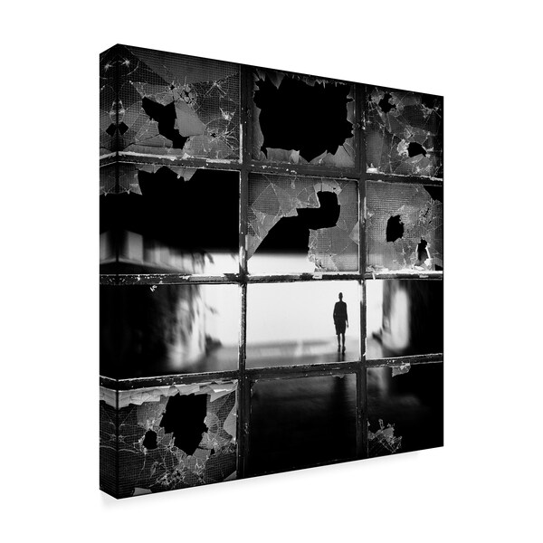 Darko Cuder 'Fractures' Canvas Art,35x35